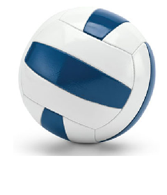 Bola de Voleibol